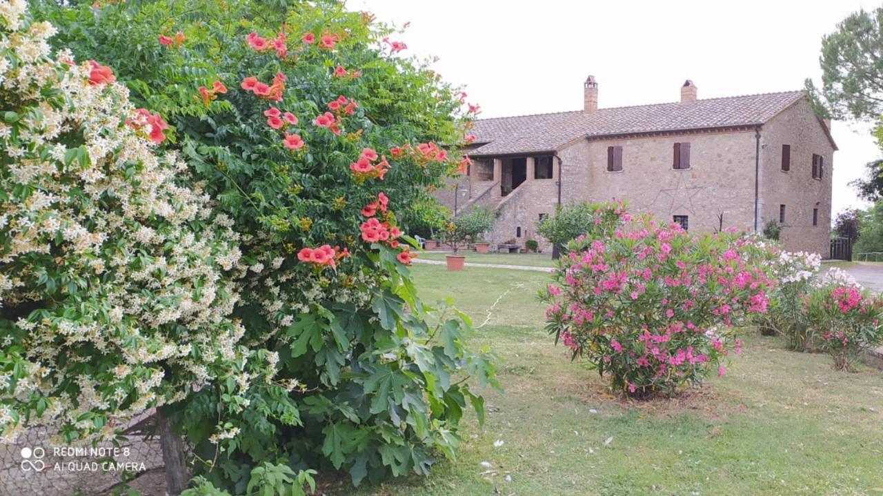 Agriturismo Podere Luchiano Amelia Luaran gambar