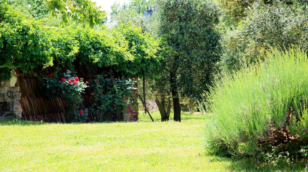 Agriturismo Podere Luchiano Amelia Luaran gambar
