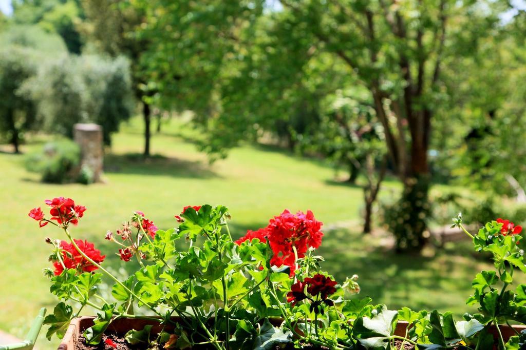 Agriturismo Podere Luchiano Amelia Luaran gambar